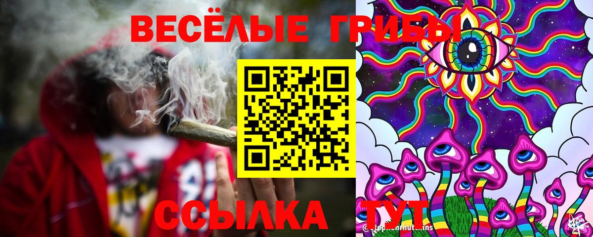 Псилоцибиновые грибы GOLDEN TEACHER  Псилоцибиновые грибы мицелий  Вход с VPN  Краснознаменск 